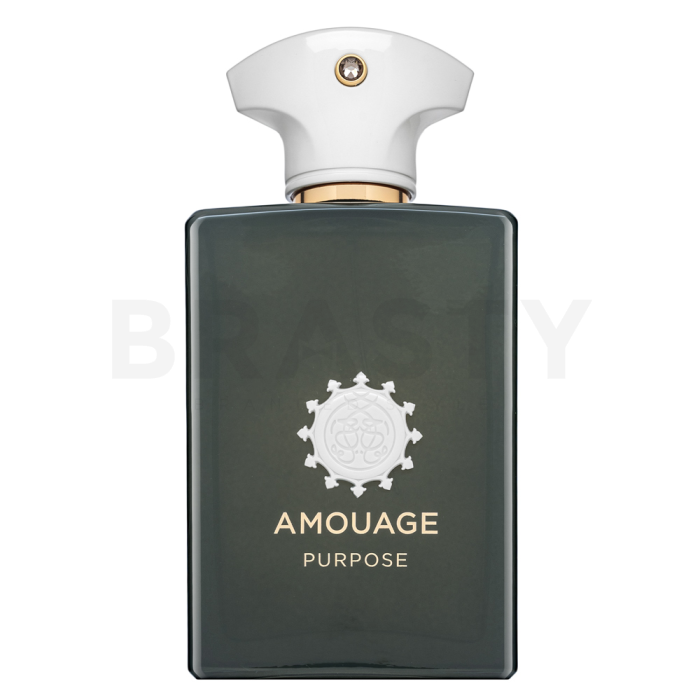 Amouage Purpose Eau de Parfum unisex Extra Offer 2 100 ml
