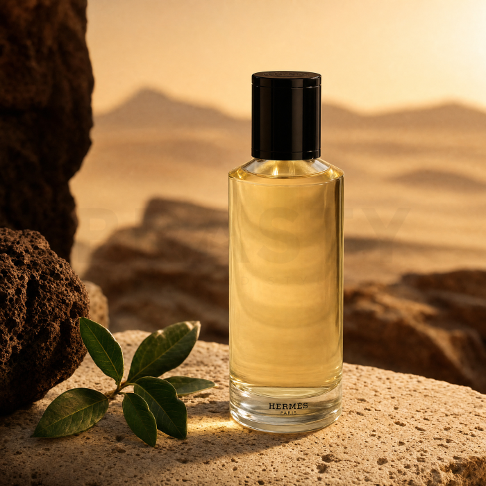 Hermès Terre D'Hermes Intense Eau de Parfum para hombre Refill 200 ml