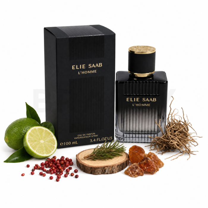 Elie Saab L’Homme Eau de Parfum für Herren 100 ml