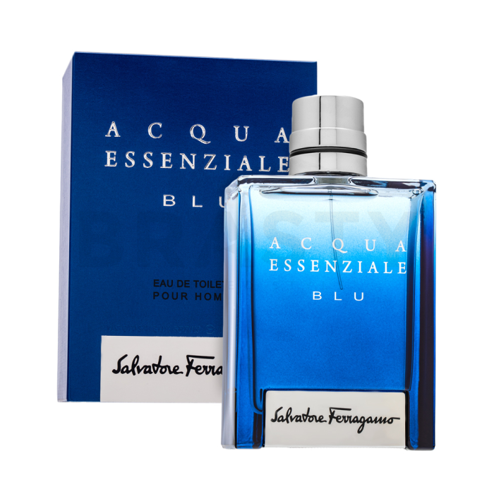 Salvatore Ferragamo Acqua Essenziale Blu toaletná voda pre mužov Extra Offer 2 100 ml