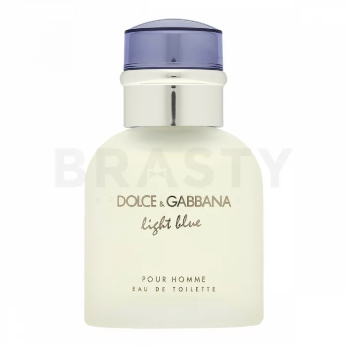 Dolce & Gabbana Light Blue Pour Homme toaletní voda pro muže 40 ml