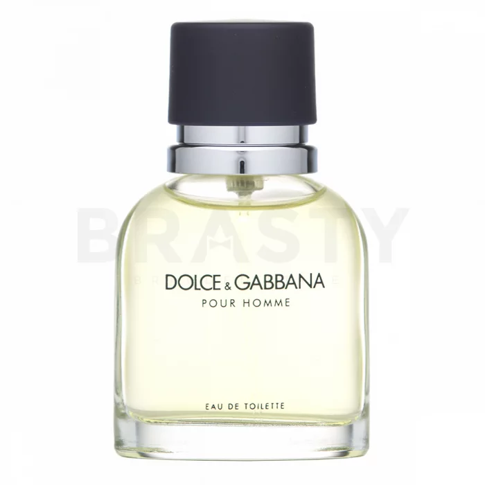 Dolce & Gabbana Pour Homme toaletná voda pre mužov 40 ml