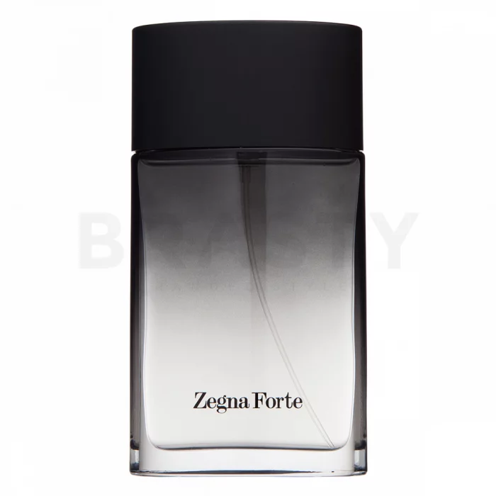 Ermenegildo Zegna Zegna Forte Eau de Toilette bărbați 100 ml