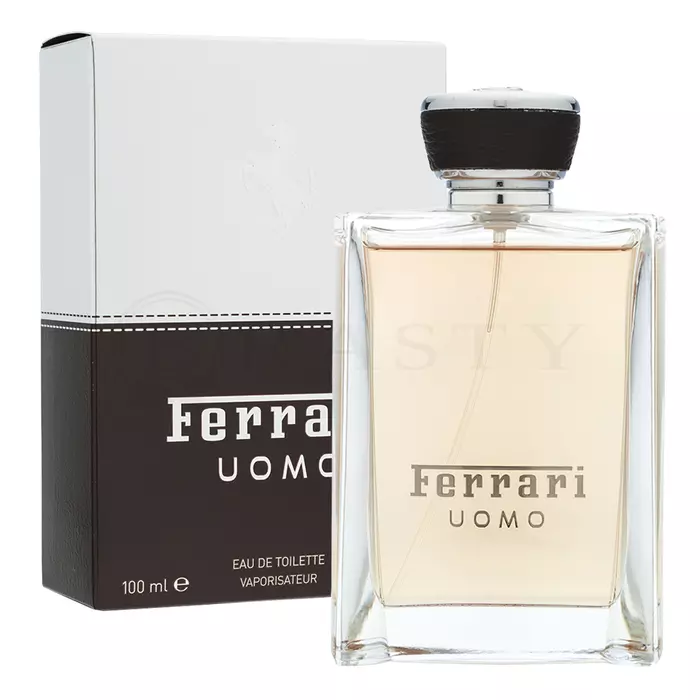 Ferrari Ferrari Uomo Eau de Toilette voor mannen 100 ml