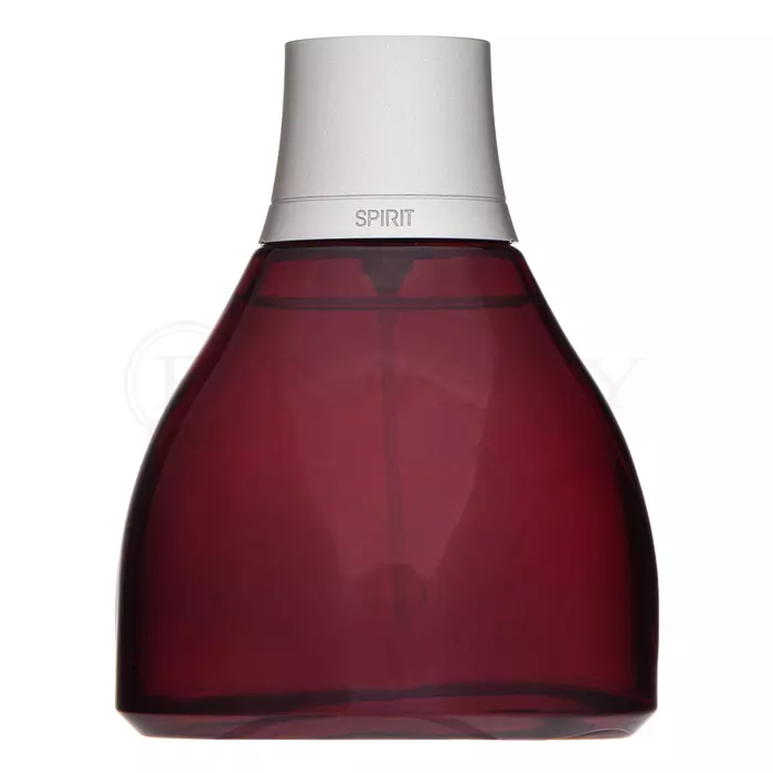 Antonio Banderas Spirit for Men toaletná voda pre mužov 100 ml