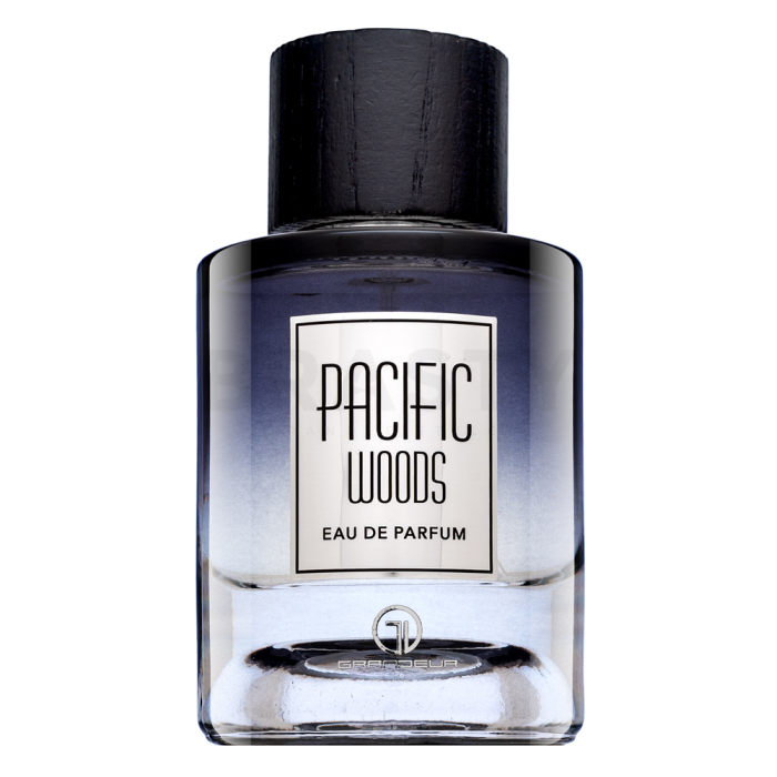 Grandeur Pacific Woods Парфюмна вода за мъже 100 ml