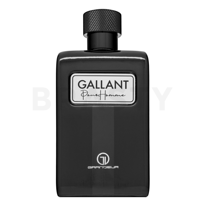 Grandeur Gallant parfemska voda za muškarce 100 ml