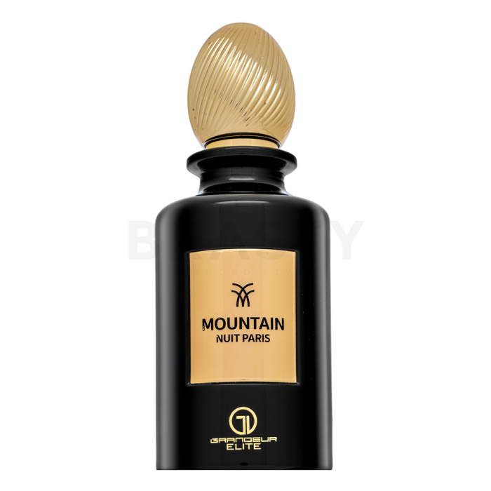 Grandeur Mountain Nuit Paris parfumirana voda unisex 100 ml