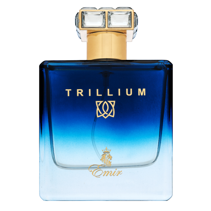 Emir Trillium Eau de Parfum férfiaknak 100 ml