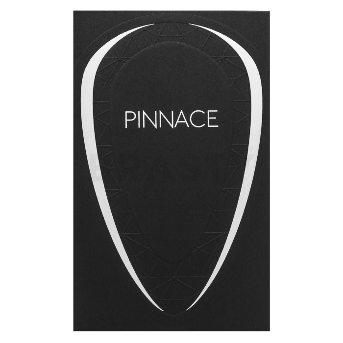 French Avenue Pinnace Noir Eau de Parfum férfiaknak 100 ml