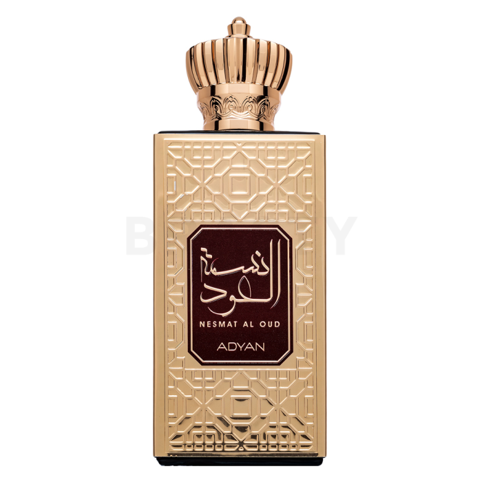 Adyan Nesmat Al Oud woda perfumowana dla mężczyzn 60 ml