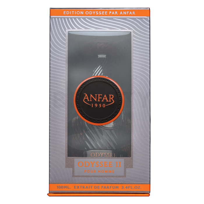 Anfar Odyssee II czyste perfumy dla mężczyzn 100 ml