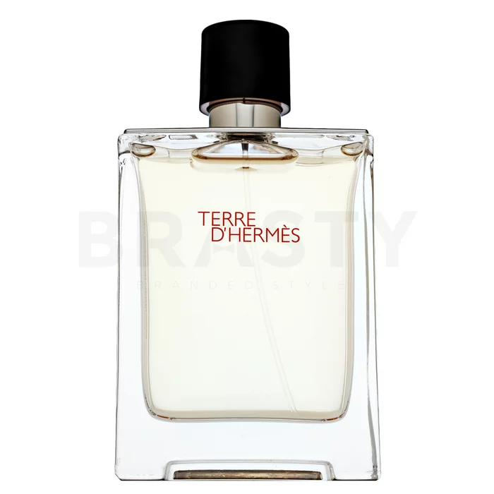 Hermès Terre D'Hermes woda toaletowa dla mężczyzn 100 ml