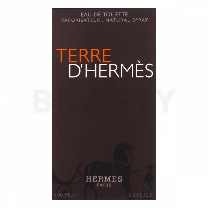 Hermès Terre D'Hermes woda toaletowa dla mężczyzn 100 ml
