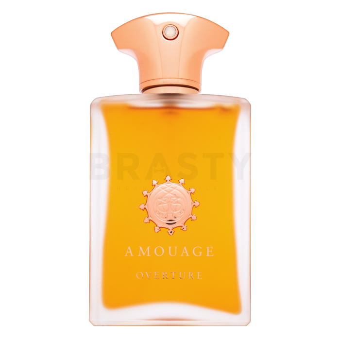 Amouage Overture parfémovaná voda pre mužov 100 ml