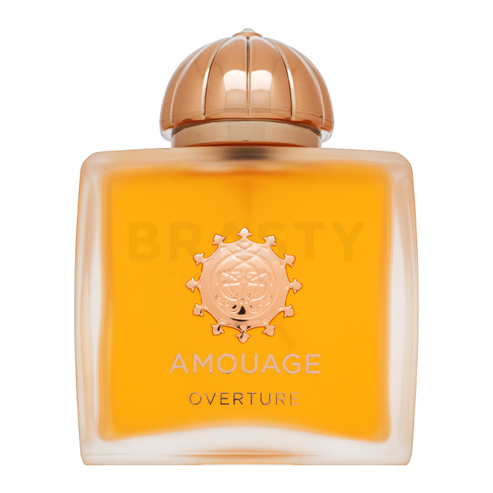 Amouage Overture Eau de Parfum voor vrouwen 100 ml