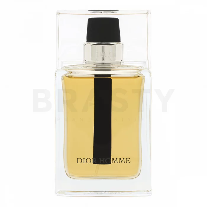 Dior (Christian Dior) Dior Homme 2011 тоалетна вода за мъже 100 ml