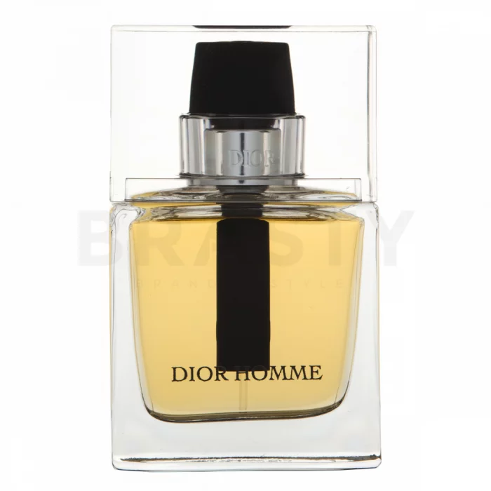 Dior (Christian Dior) Dior Homme 2011 Eau de Toilette bărbați 50 ml