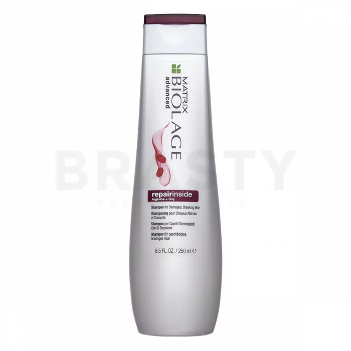 Matrix Biolage Advanced RepairInside Shampoo Shampoo für geschädigtes Haar 250 ml