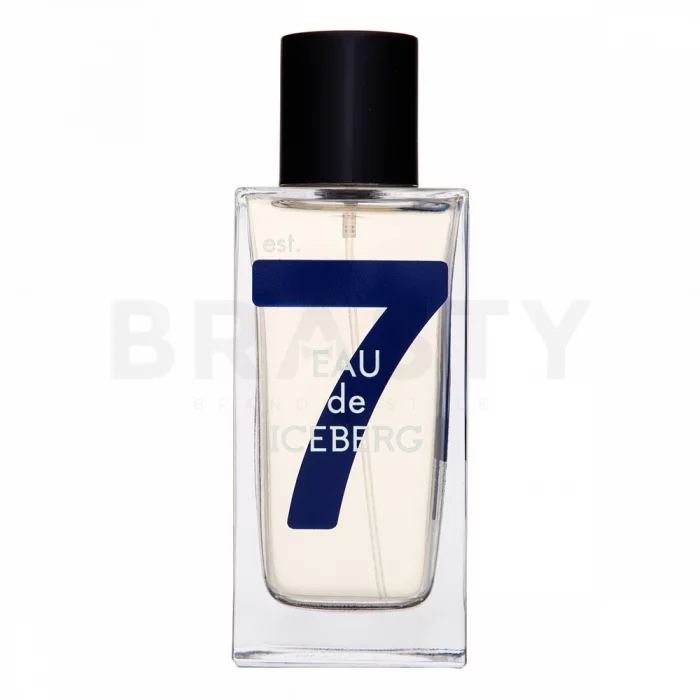 Iceberg Eau de Iceberg Cedar toaletní voda pro muže 100 ml