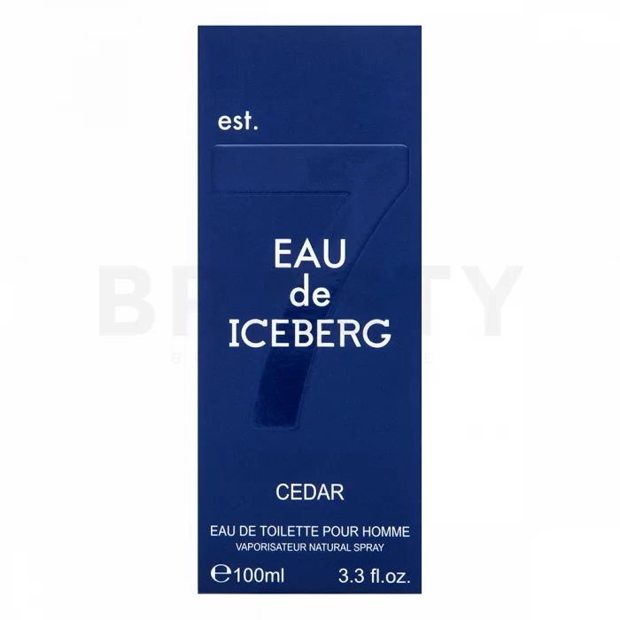 Iceberg Eau de Iceberg Cedar toaletní voda pro muže 100 ml