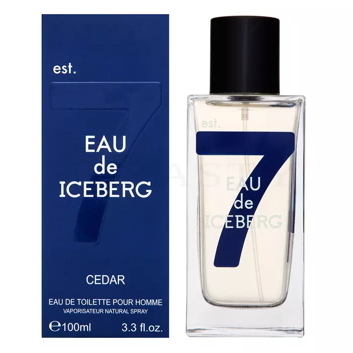 Iceberg Eau de Iceberg Cedar toaletní voda pro muže 100 ml