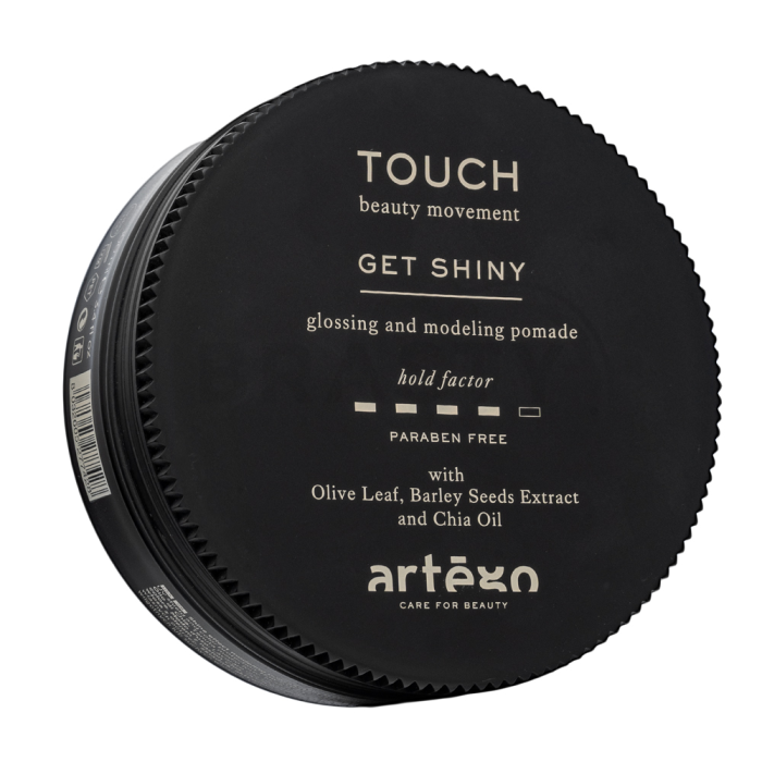Artègo Touch Get Shiny Glossing And Modeling Pomade haarcrème voor glanzend haar 100 ml