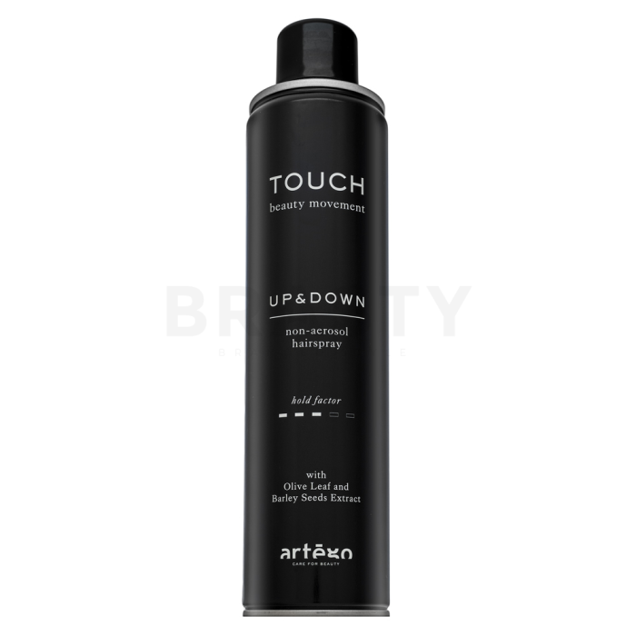 Artègo Touch Up and Down Non-Aerosol Hairspray haarlak zonder spuitbus 400 ml