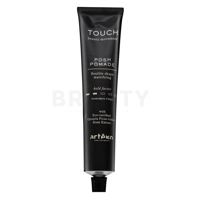 Artègo Touch Posh Pomade Flexible Shape Mattifying haarcrème voor een mat effect 100 ml