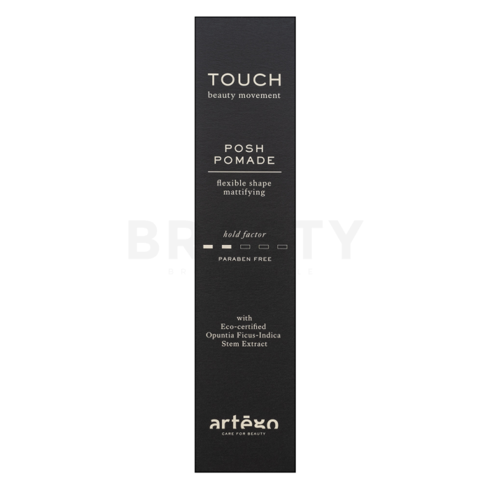 Artègo Touch Posh Pomade Flexible Shape Mattifying haarcrème voor een mat effect 100 ml