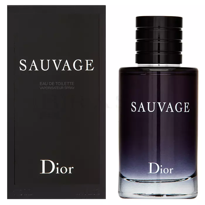 Dior (Christian Dior) Sauvage Eau de Toilette for men 100 ml