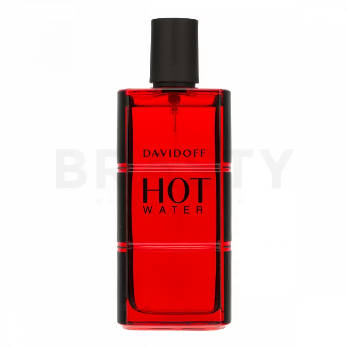Davidoff Hot Water Eau de Toilette für Herren 110 ml