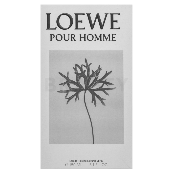 Loewe Pour Homme woda toaletowa dla mężczyzn 150 ml