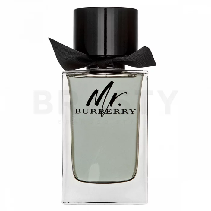 Burberry Mr. Burberry toaletná voda pre mužov 150 ml