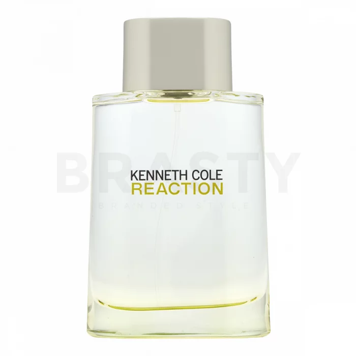 Kenneth Cole Reaction toaletní voda pro muže 100 ml