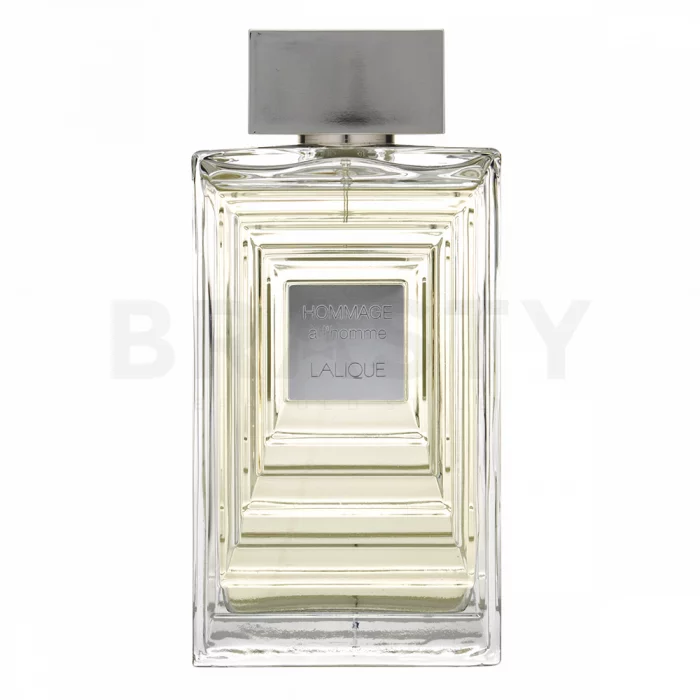 Lalique Hommage a L'Homme Eau de Toilette voor mannen 100 ml