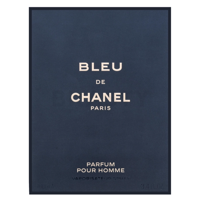 Chanel Bleu de Chanel Parfum puur parfum voor mannen 100 ml