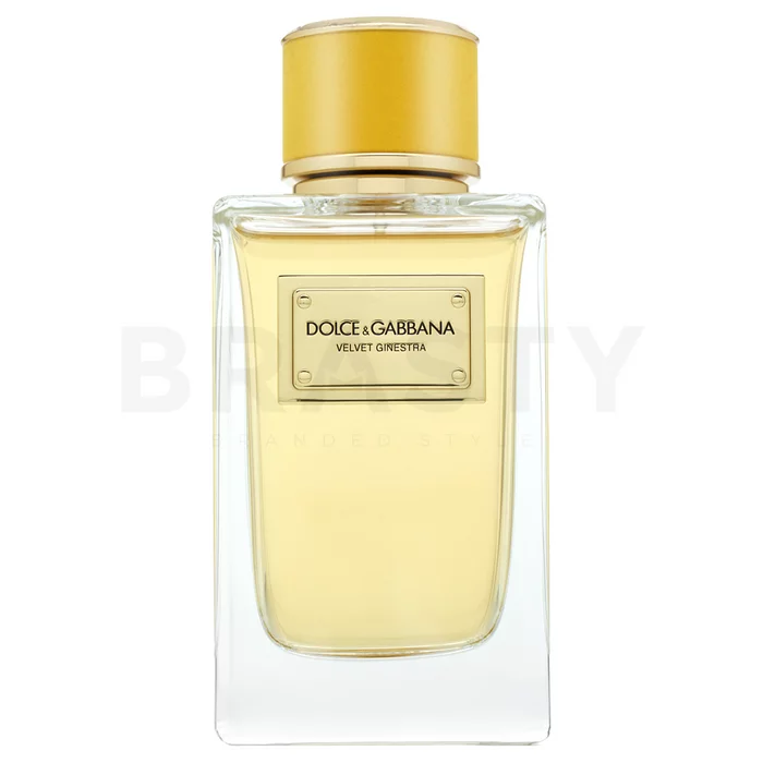 Dolce & Gabbana Velvet Ginestra parfémovaná voda pro ženy 150 ml