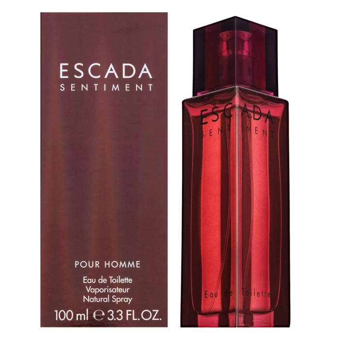 Escada Sentiment pour Homme toaletní voda pro muže 100 ml