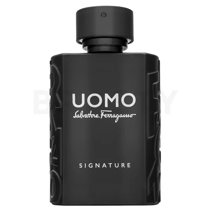 Salvatore Ferragamo Uomo Signature Eau de Parfum for men 100 ml