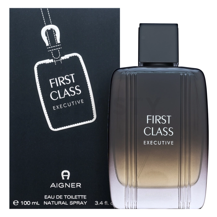 Aigner First Class Executive toaletní voda pro muže 100 ml
