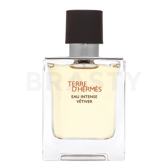 Hermès Terre D'Hermes Eau Intense Vetiver parfémovaná voda pre mužov 50 ml