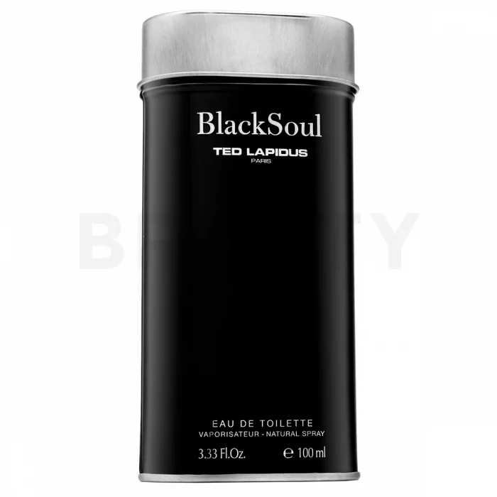 Ted Lapidus Black Soul toaletná voda pre mužov 100 ml