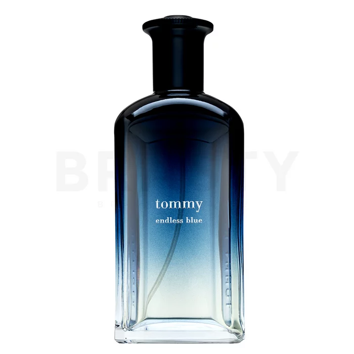 Tommy Hilfiger Tommy Endless Blue toaletní voda pro muže 100 ml